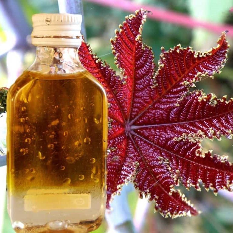 14 ПРИЧИН ИМЕТЬ КАСТОРОВОЕ МАСЛО ДОМА