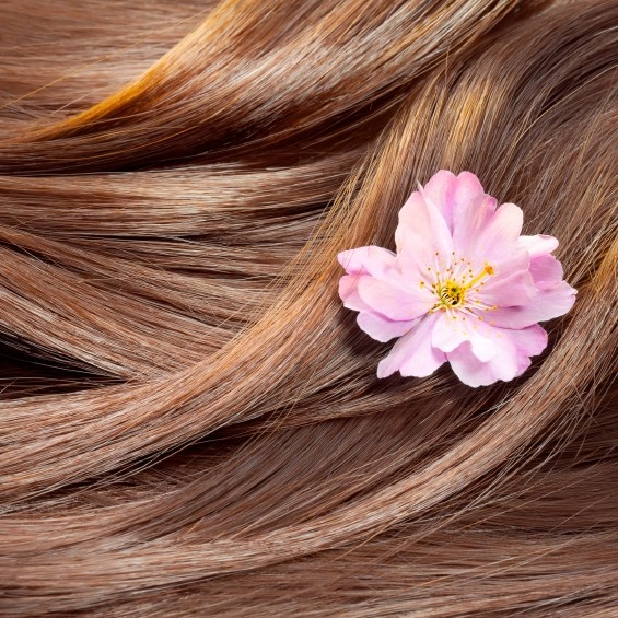 10 ПРОДУКТОВ ДЛЯ ЗДОРОВЬЯ ВОЛОС