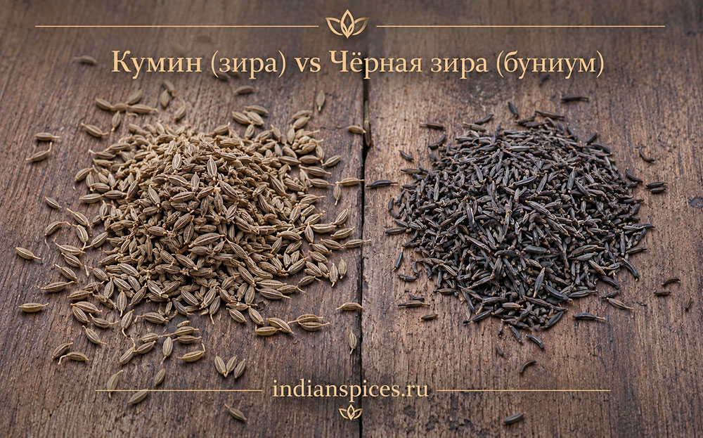 Cumin BlackCumin3